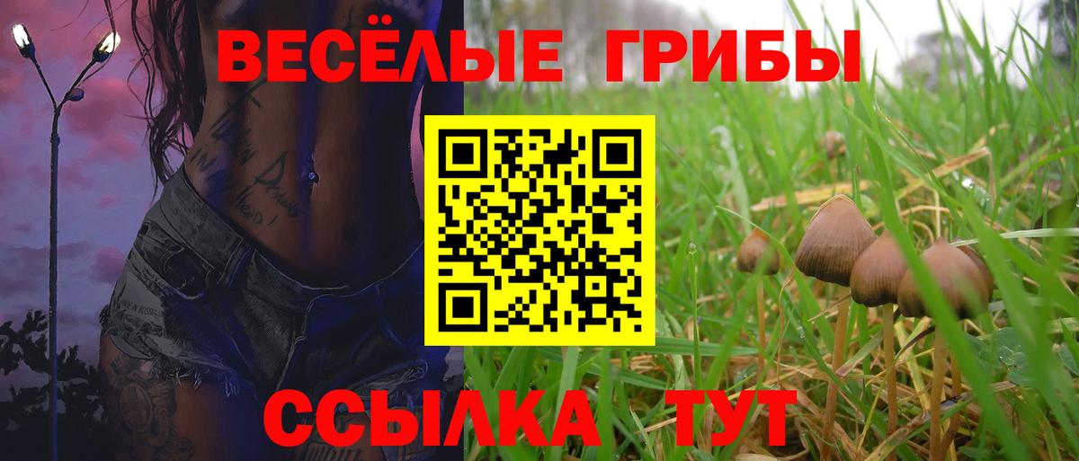 Псилоцибиновые грибы прущие грибы  Вход с VPN  Скопин 